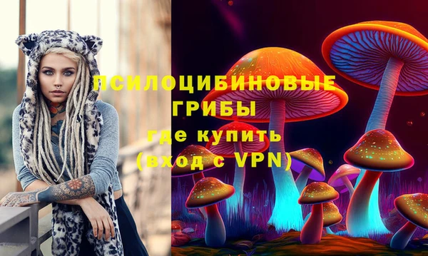 бошки Абинск