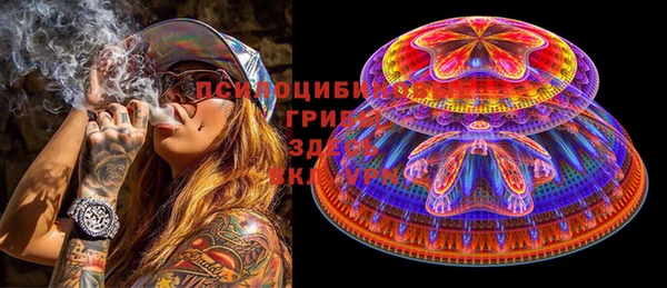 PSILOCYBIN Абдулино