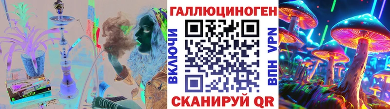 Псилоцибиновые грибы Psilocybine cubensis кракен сайт Карабаново
