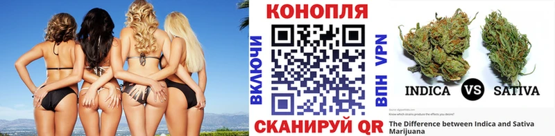 Бошки Шишки THC 21%  Карабаново 